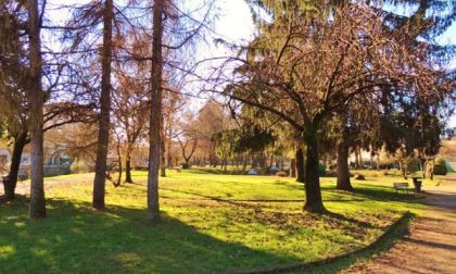 Parco buio e a rischio aggressioni?