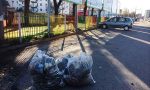 Detenuti al lavoro nella zona dietro alla stazione (FOTO)