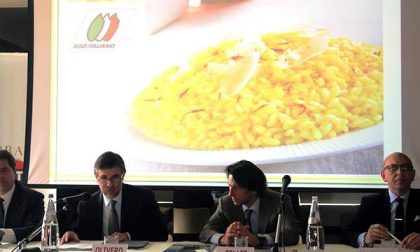 La filiera del riso italiano a Expo Milano 2015