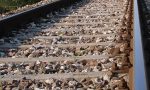Novara-Varallo: sabato il convegno per rilanciare la problematica treni