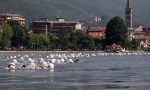 Partecipazione record per l'Oceanman nel lago d' Orta