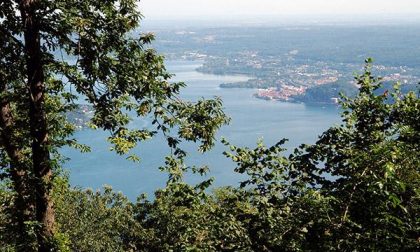 L'appello delle associazioni ambientaliste: "Biodiversità Piemonte indietro tutta!"