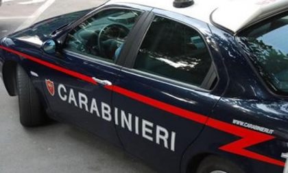 Gattico: ladri in azione in una ditta