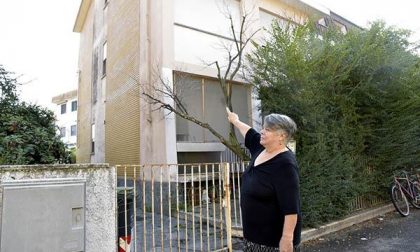 Olga disperata: "Lascio la casa novarese ai “migranti” ed emigro io in Spagna"