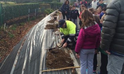 10 mila nuovi alberi piantati in Italia, più verde anche grazie a Briga Novarese