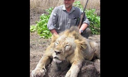 Il veterinario posa accanto al leone ucciso: sdegno sul web