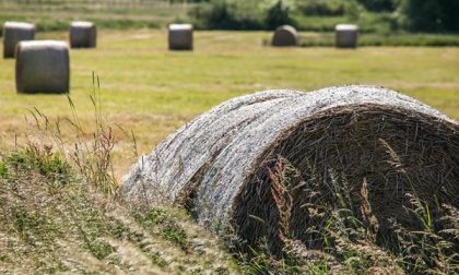 Le giovani generazioni riscoprono l’agricoltura