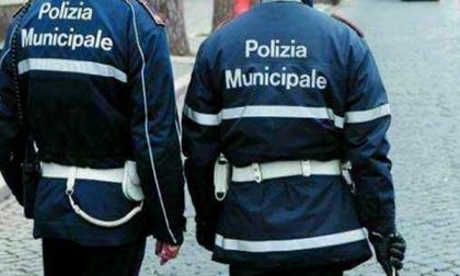 Maxisequestro di capi contraffatti ad opera della Polizia Municipale