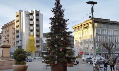 Albero di Natale in piazza Cavour ‘sparisce’: è polemica sui social