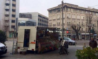 Nuovo albero di Natale in piazza Cavour