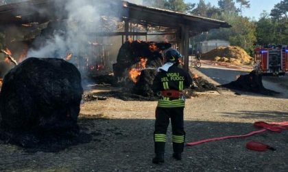Incendio in una scuderia di Divignano: cavalli in salvo