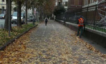 Assa: tonnellate di foglie raccolte in città