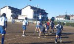 Rugby, la Probiotical a valanga (VIDEO)