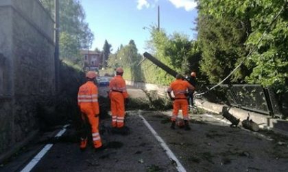 Arona: albero cade su un'auto parcheggiata
