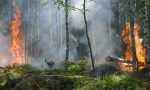 Incendi boschivi: revocato lo stato di pericolosità