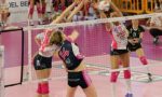 Figuraccia Igor Volley: play off in salita