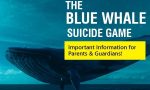 Blue whale: 15 casi nel veronese