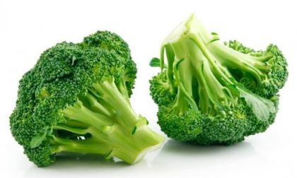 Il diabete si combatte anche con i broccoli