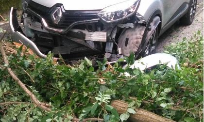 Meina: un albero è caduto su un'auto in corsa sulla statale