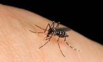 Lotta alle zanzare: a Trecate quarto intervento alle caditoie