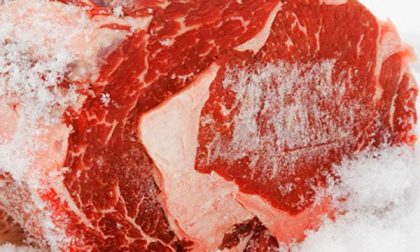 Controlli agro-alimentari: sequestrati 40 kg di carne di cinghiale a Gattico
