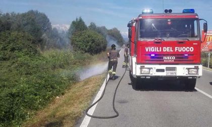 Sterpaglie a fuoco a Fontaneto, a ridosso della provinciale
