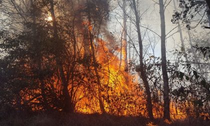 A fuoco il bosco in zona Beatrice a Borgomanero