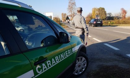 I carabinieri cercano 11 forestali: ecco come candidarsi