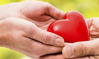 Donazione organi: Verbania è la migliore tra le province piemontesi