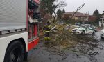 Borgomanero: traffico bloccato per la caduta di un albero