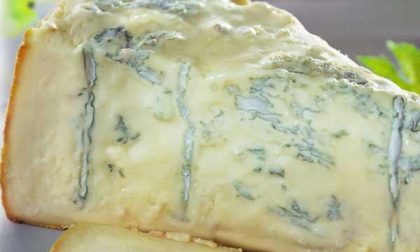 Il gorgonzola è tra i formaggi piemontesi più taroccati, lo dice Coldiretti