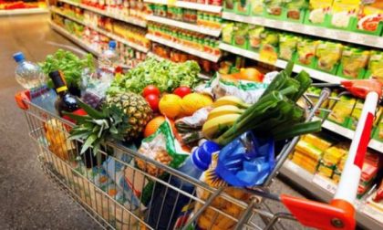 Stop cibo falso: al via la petizione di Coldiretti