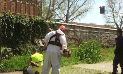 Detenuti ripuliscono il giardino della Procura