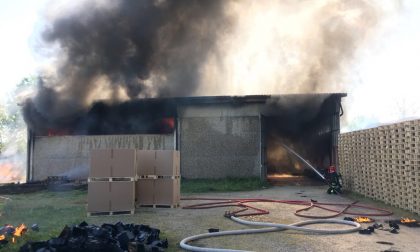 Incendio azienda Borgolavezzaro: a fuoco 200mq