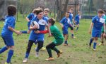 Rugby a km 0, tanti miniatleti al raggruppamento di Novara FOTOGALLERY