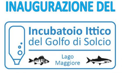Centro commerciale San Martino 2 sostiene l'incubatoio ittico di Solcio