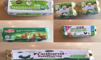 Allarme salmonella nelle uova tedesche di Penny Market e Billa