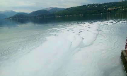 Lago d'Orta, torna l'incubo inquinamento