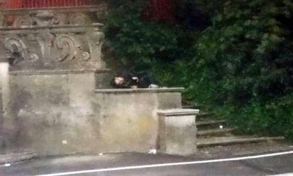 Movida aronese: ragazzo "dorme" sotto Villa Cantoni