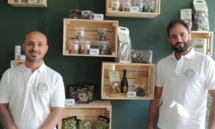Canapa shop inaugurato a Borgomanero