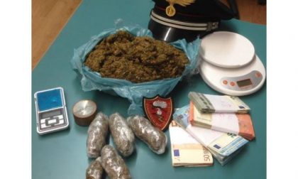 Arrestato nigeriano a Novara: trovato con 6 involucri di marijuana e 3mila euro