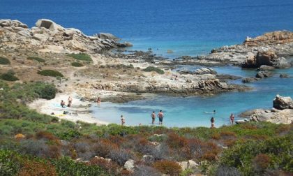 Studenti novaresi per promuovere il turismo all'Asinara