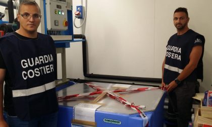Blitz della Guardia Costiera: sequestrati 30 kg di frutti di mare da noto venditore del Verbano
