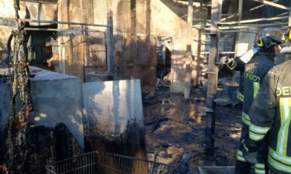 Incendio al gattile di Rho, strage di mici: sono morti tutti. FOTO e VIDEO