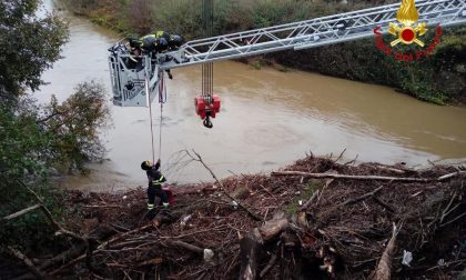 Piante bloccano torrente Agogna a Novara: l'intervento dei pompieri