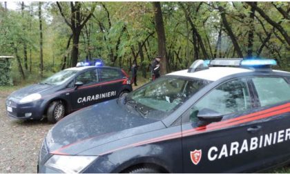 Carabinieri di Arona smantellano rete di spaccio nei boschi del novarese