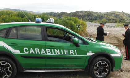 Furto venatorio e maltrattamenti a Dormelletto: i carabinieri forestali segnalano un residente