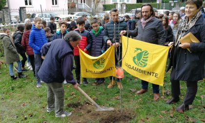 Festa dell'albero: piantato un pero nel giardino della scuola