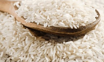 Coltivazione del riso: aiuti per 15 milioni