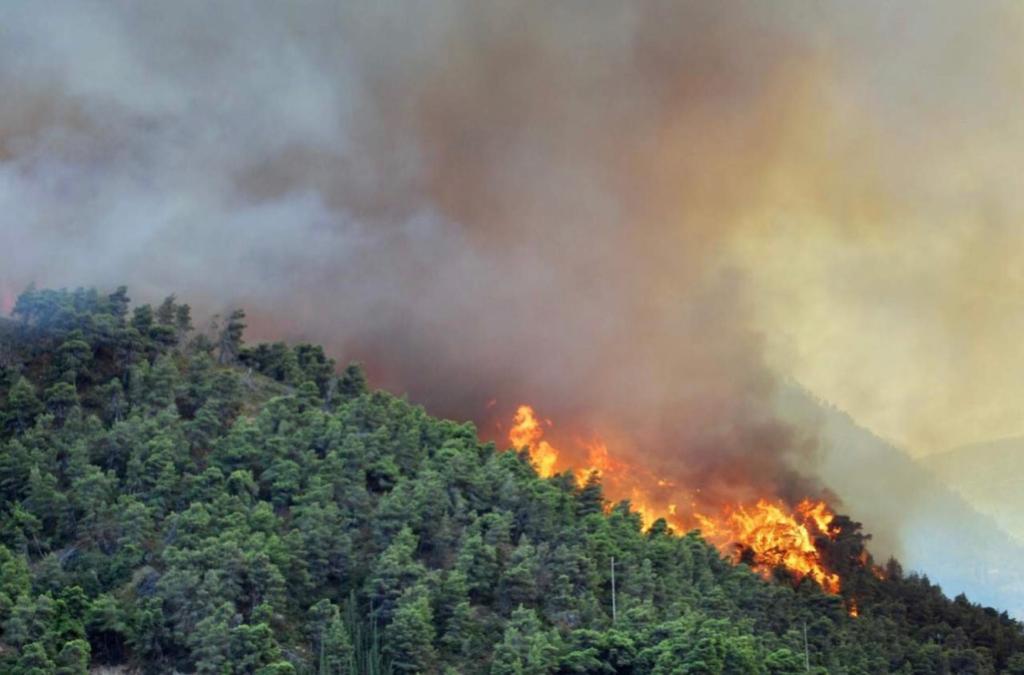 incendio lago d'orta